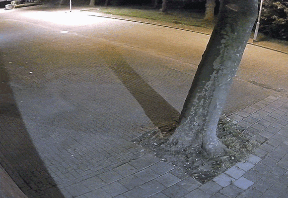 Camerabeelden dag en nacht